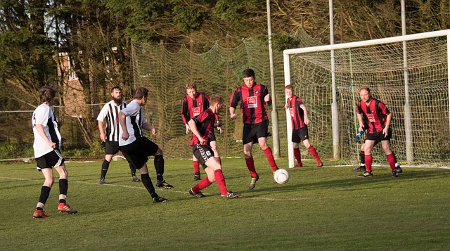 在成为城市 在成为城市