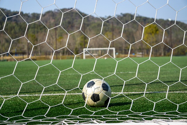 们在对阵金 们在对阵金