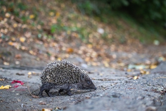 于速度背后 于速度背后