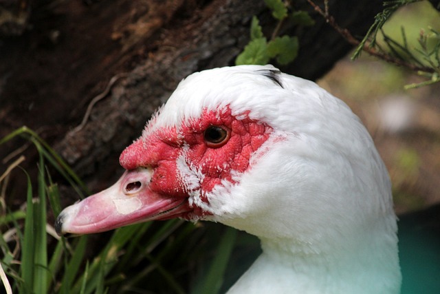 得异常激烈 得异常激烈