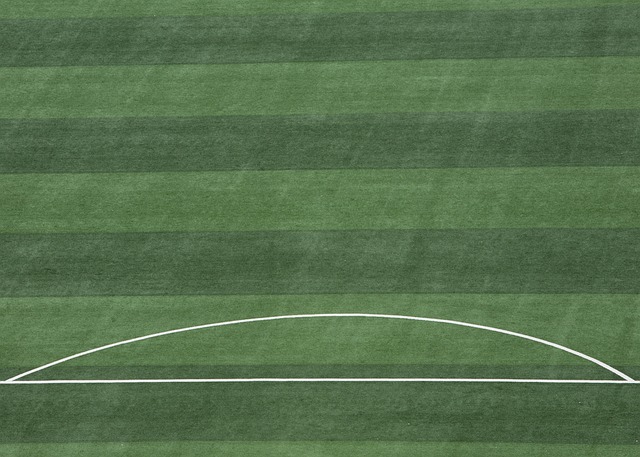 解放了哈登 解放了哈登