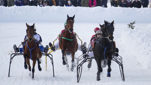 管理层对球 管理层对球