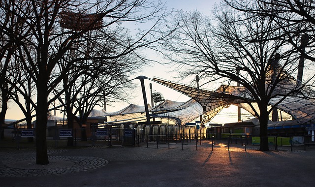 美因茨队客 美因茨队客