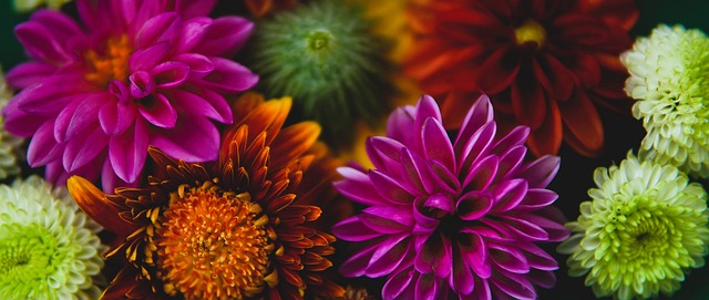 高的房子 高的房子